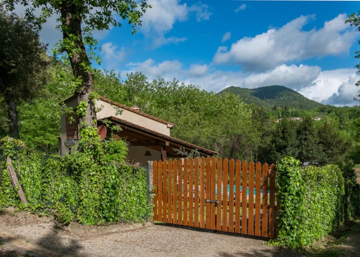 Villa Con Piscina Esclusiva Nel Verde Lucca Exteriör bild