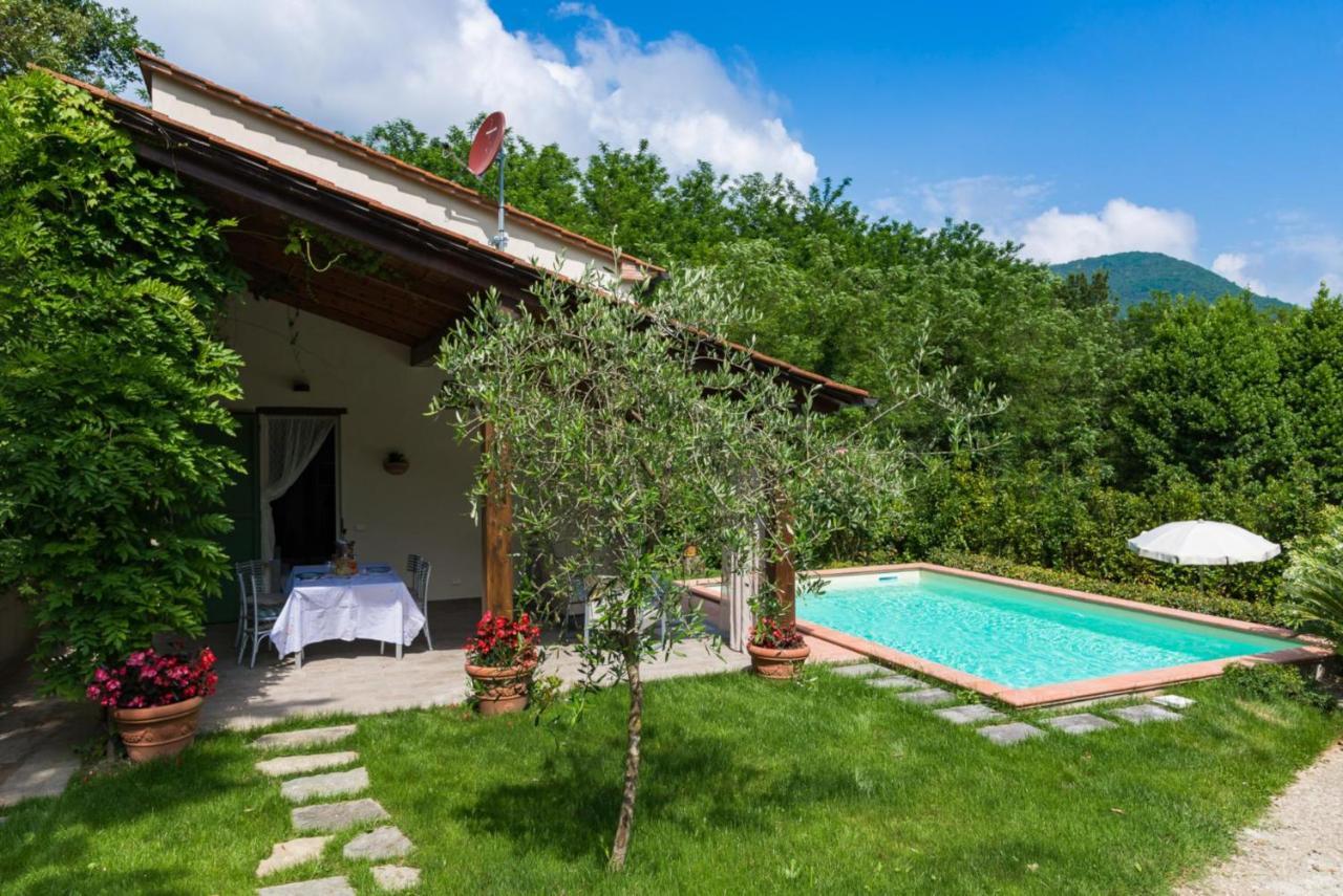Villa Con Piscina Esclusiva Nel Verde Lucca Exteriör bild