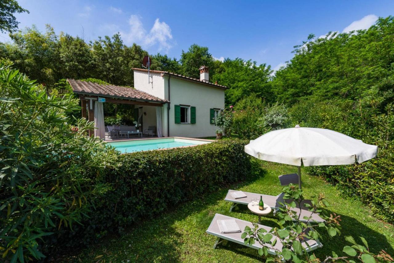 Villa Con Piscina Esclusiva Nel Verde Lucca Exteriör bild